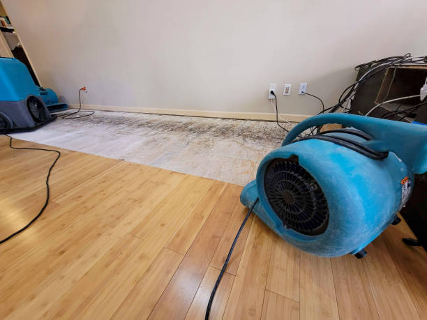 Professional Ceiling Water Damage Repair technician working in Cedar Grove, NC