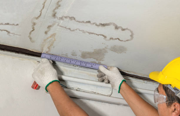Affordable Ceiling Water Damage Repair solutions in Cedar Grove, NC